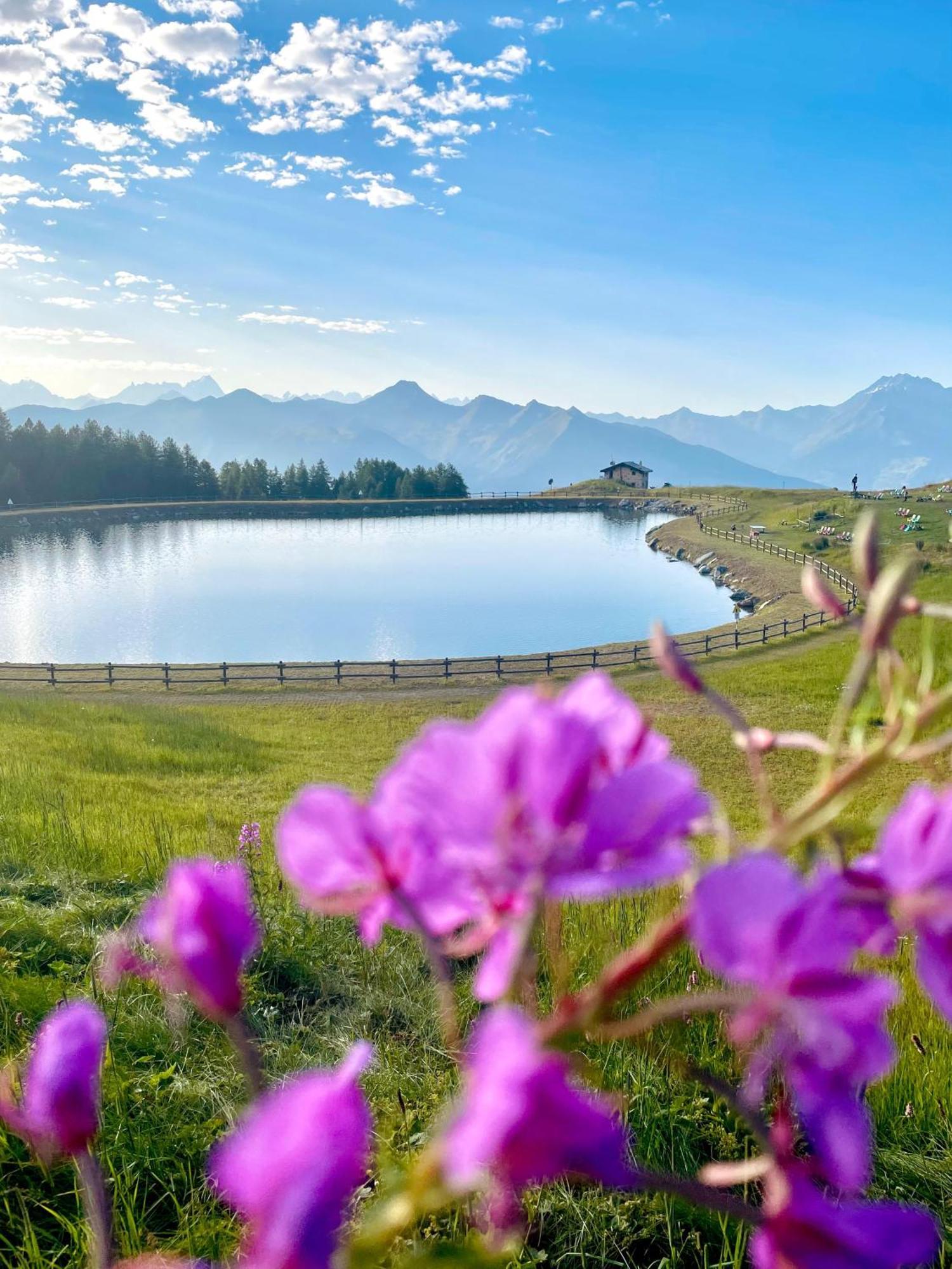 Alpine Dream House - Chalet Gressan Exterior foto